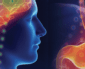 This is Your Brain on Serotonin