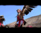 Eagle & Condor: Ancient Prophecy, Modern Wisdom